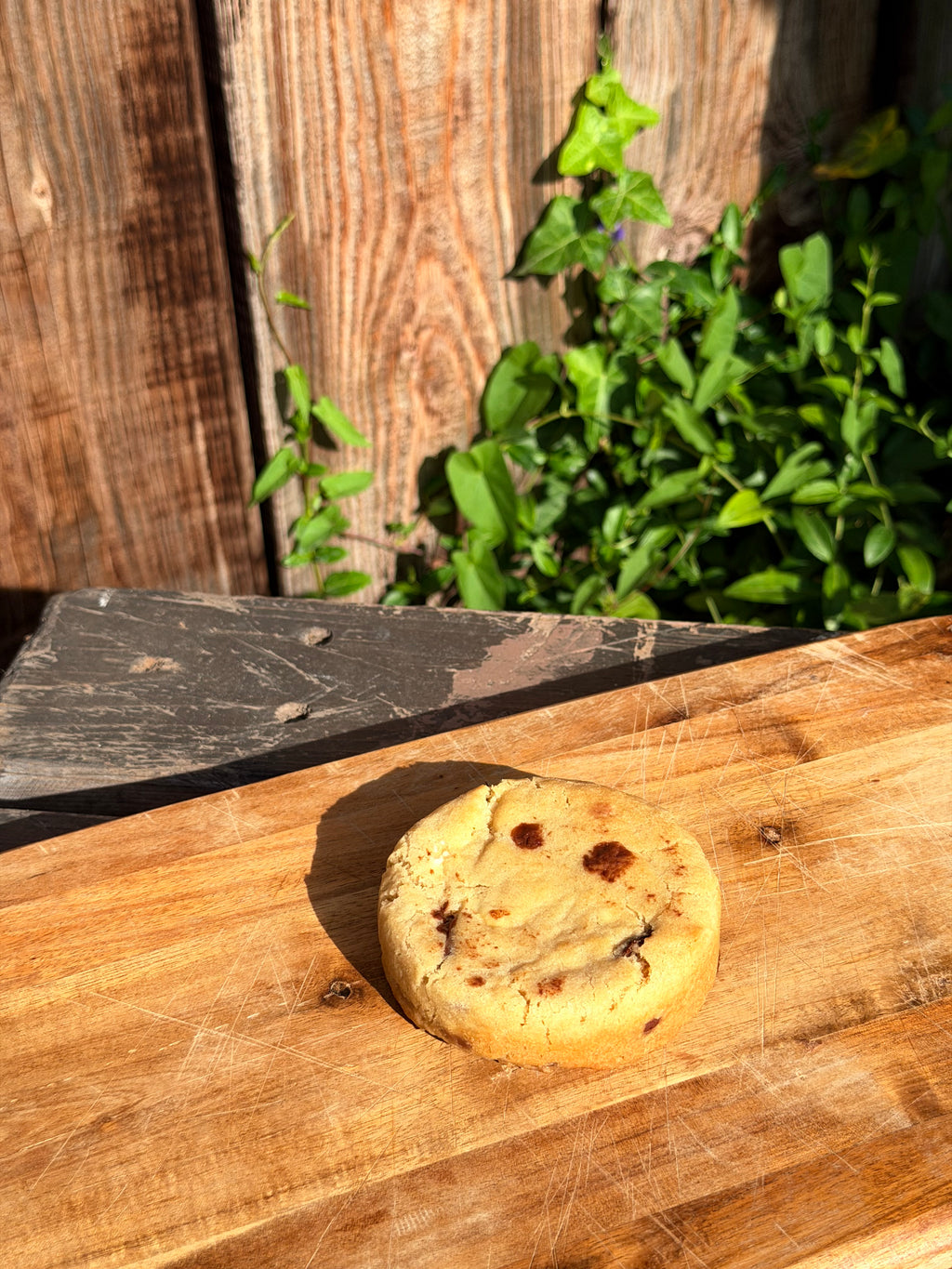 Classic chocolate chip cookie