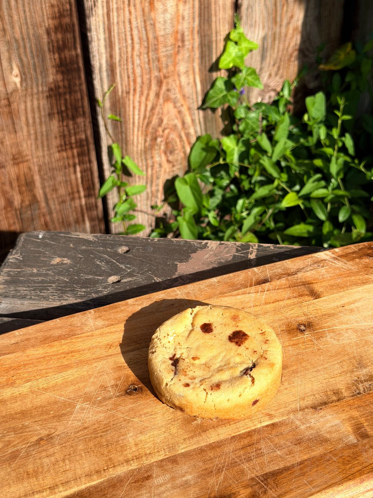 Classic chocolate chip cookie