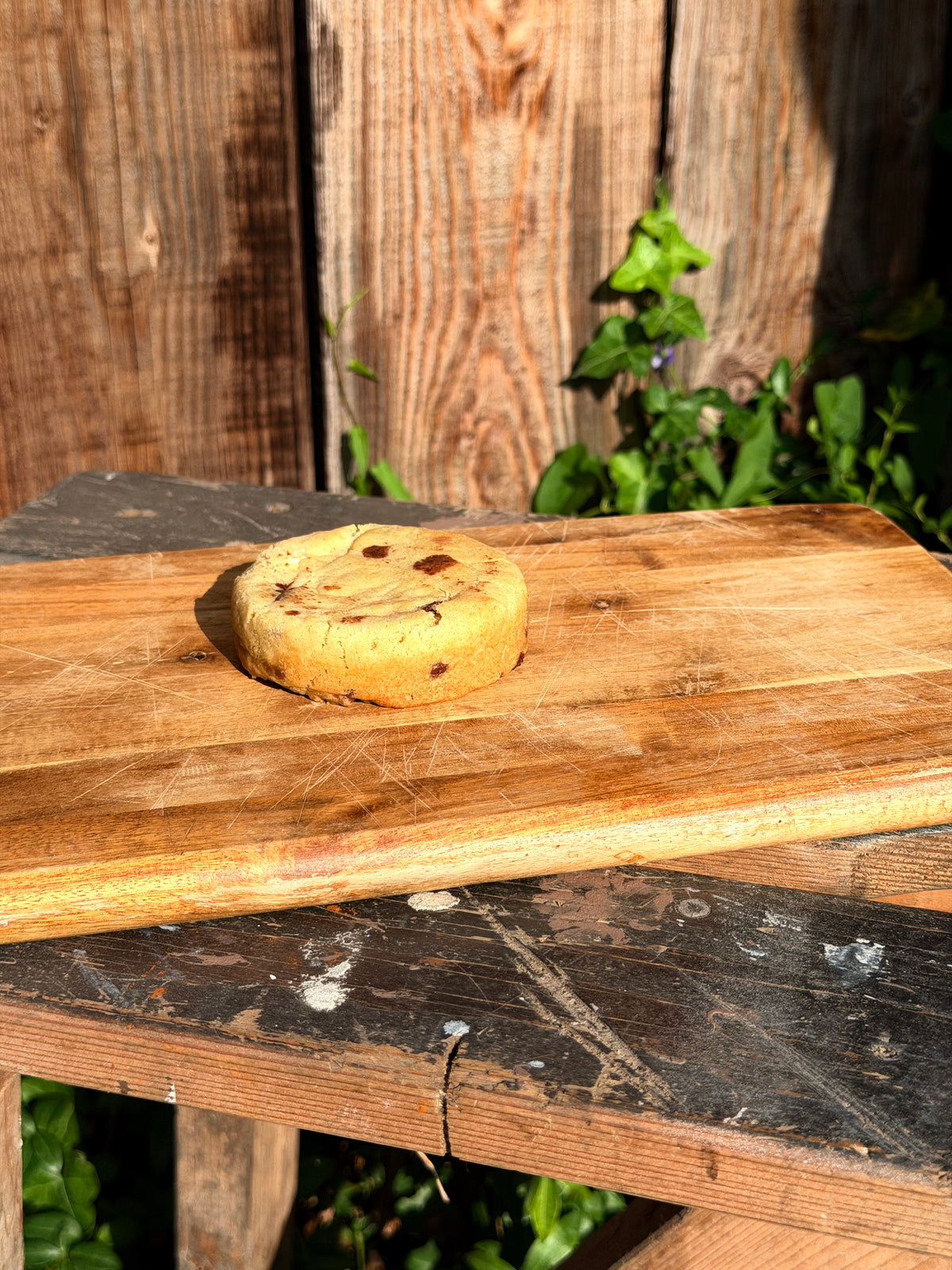 Classic chocolate chip cookie